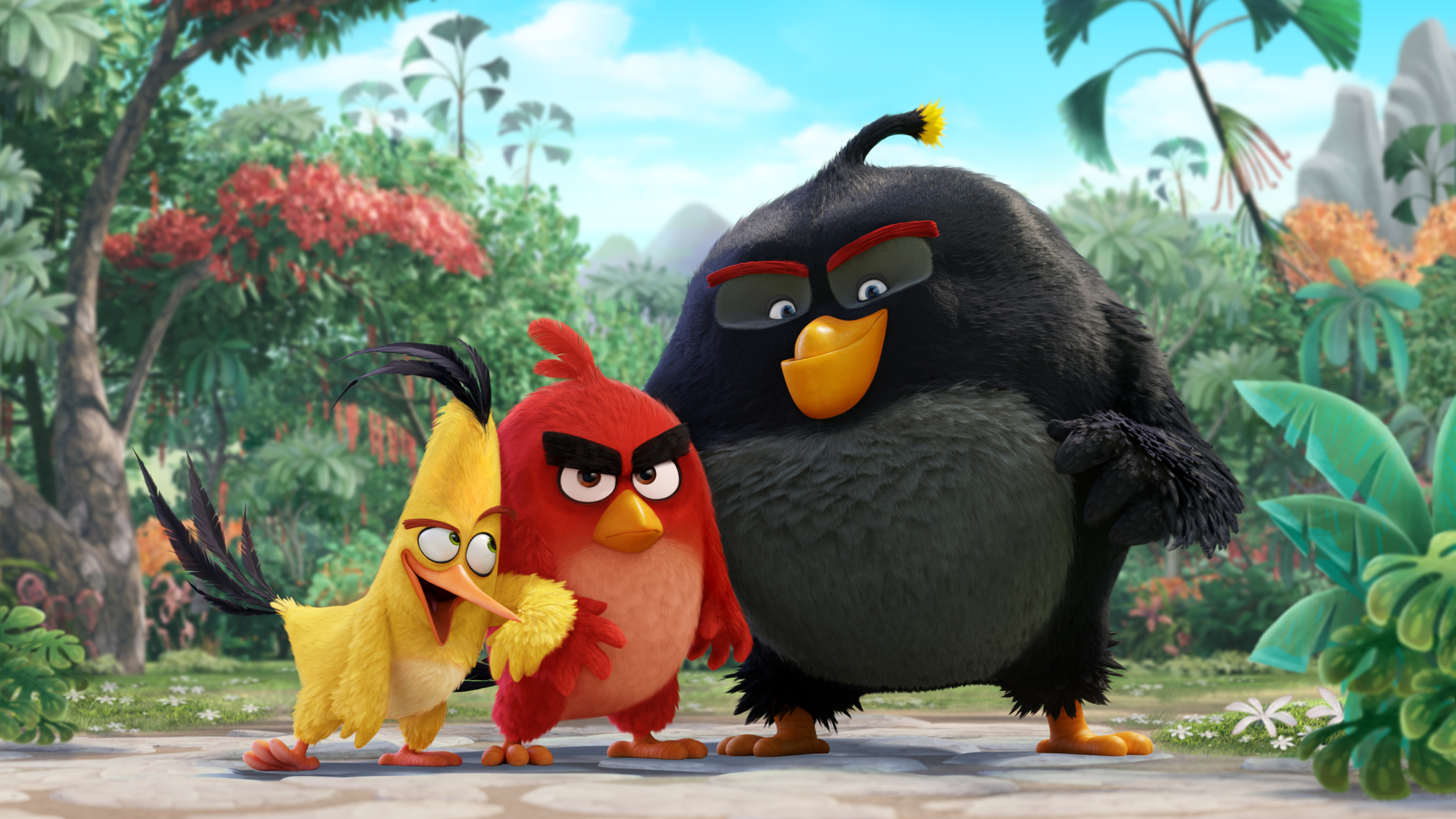 Papéis de Parede The Angry Birds Movie